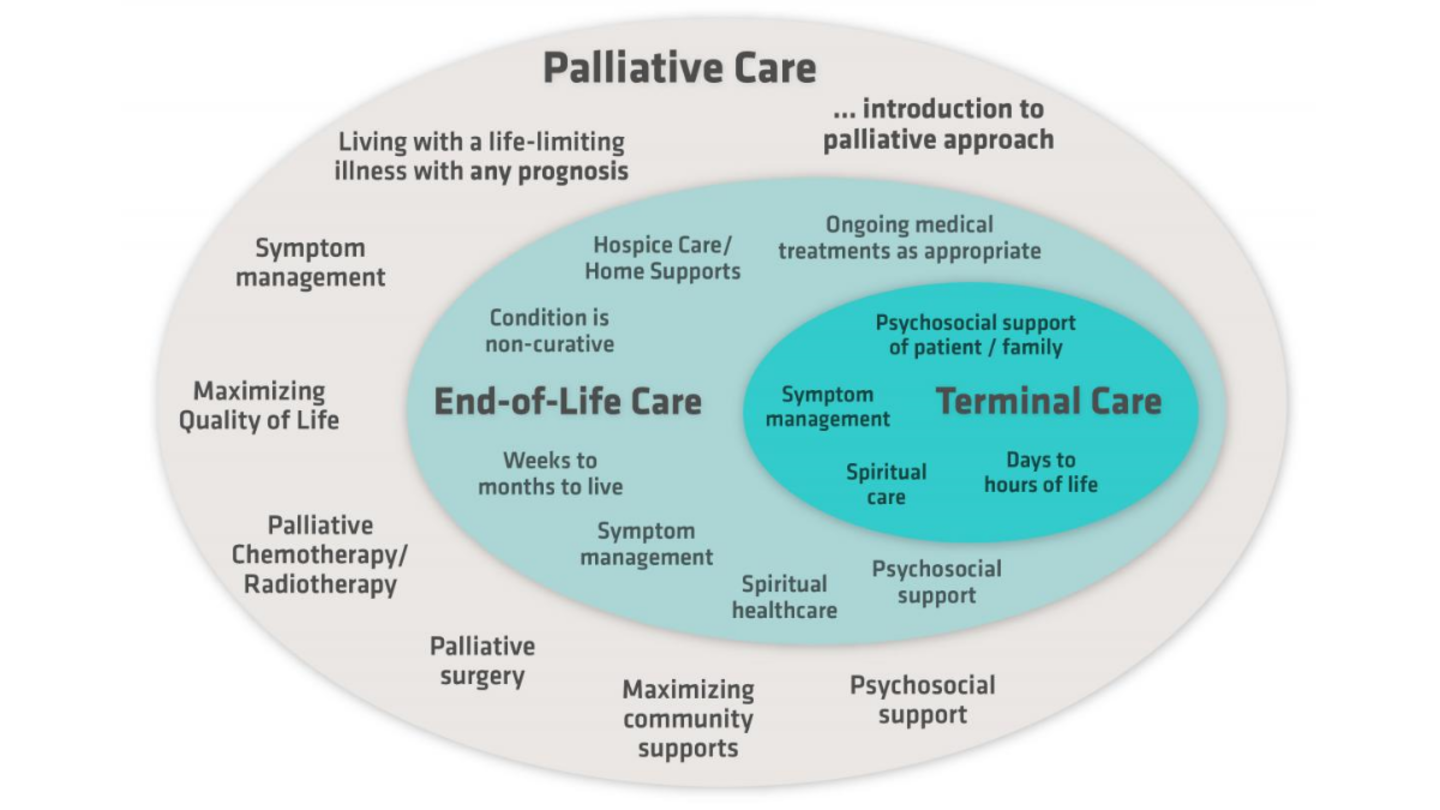 Diagram showing the phases of palliative care