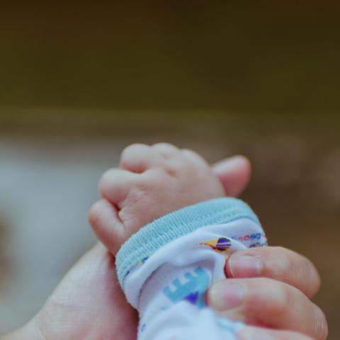 Baby holding parents hand